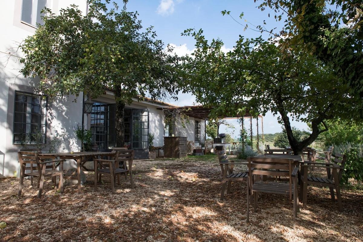 Villa Vallecento Con Giardino - Borgo Stays Monterosi Kültér fotó